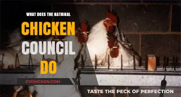 Understanding the Role of the National Chicken Council in the Poultry Industry