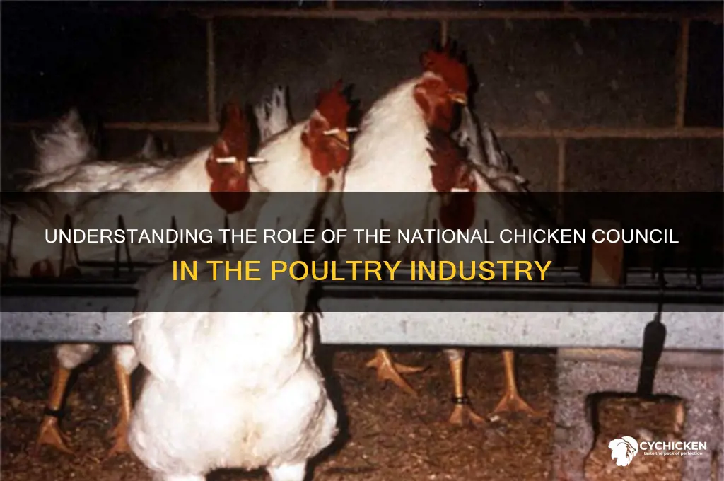 what does the national chicken council do