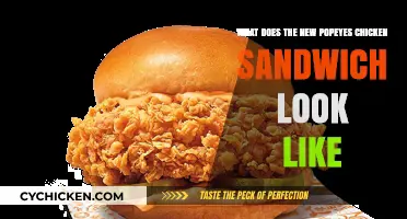 Popeyes New Chicken Sandwich Unveiled: A Visual Review