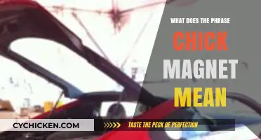 Decoding 'Chick Magnet': Understanding the Meaning and Cultural Implications