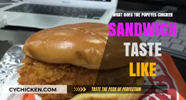 Popeyes Chicken Sandwich Review: Flavor, Texture, and First Bite Impressions