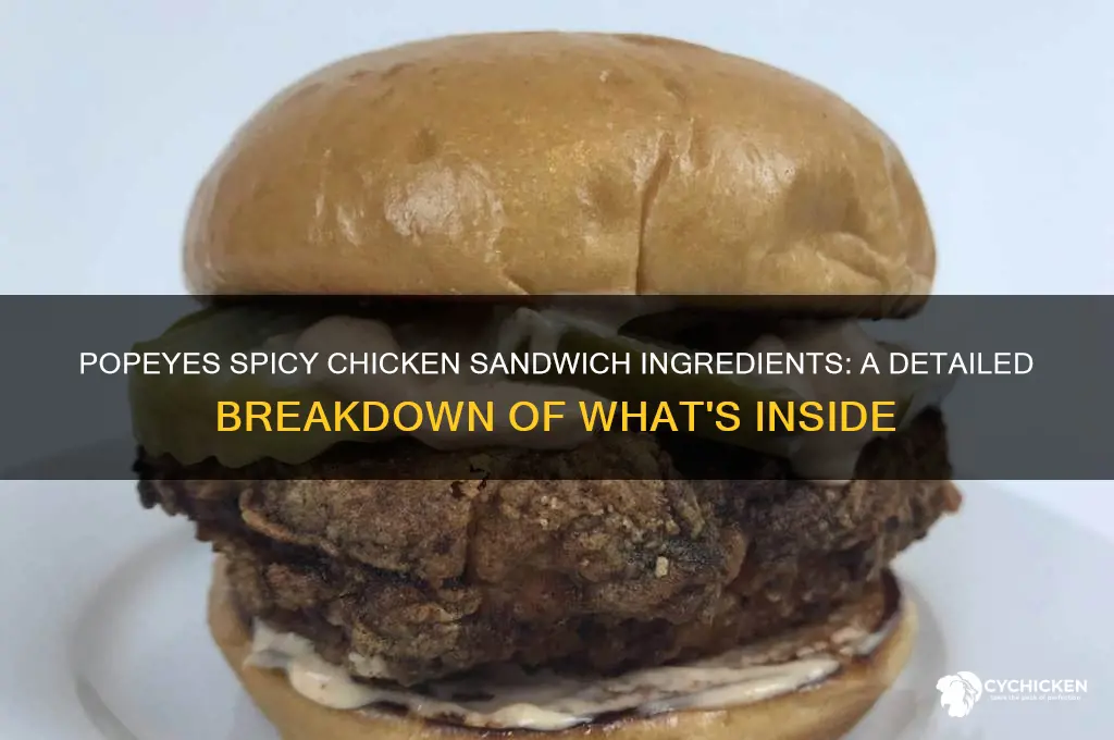 what does the popeyes spicy chicken sandwich have