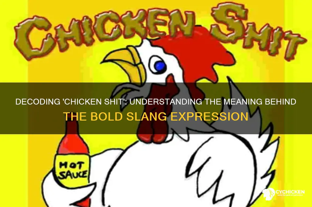 what does the slang expression chicken shit mean