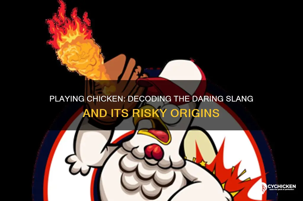 what does the slang to play chicken