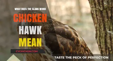 Decoding 'Chicken Hawk': Unraveling the Slang Term's Meaning and Origins