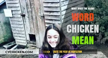 Unraveling the Meaning: What Does the Slang Word 'Chicken' Really Mean?