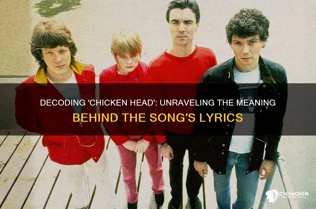 what does the song chicken head mean
