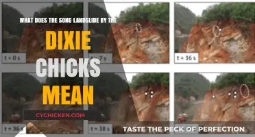 Landslide by Dixie Chicks: A Song's Deeper Meaning