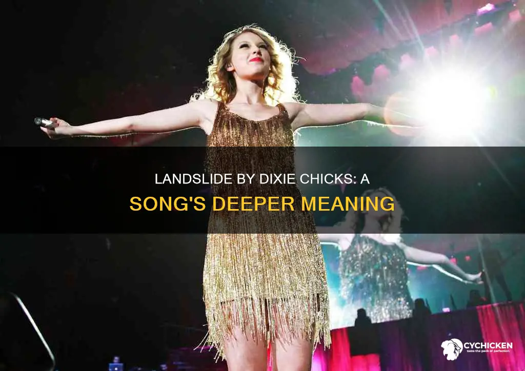 what does the song landslide by the dixie chicks mean