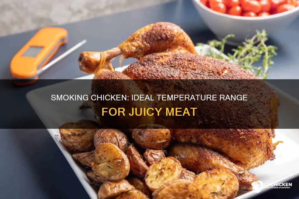 what does the temp need to be when smoking chicken