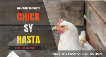 What Does the White Chick Say 'Hasta' Mean? Explained