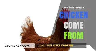 Unraveling the Origins: The Surprising Etymology of the Word Chicken