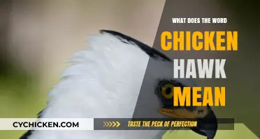 What Does Chicken Hawk Mean? Unraveling the Term's Origins and Usage