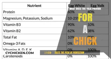 Essential Nutrients: How Egg Yolk Fuels Chick Growth and Development