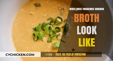 Exploring the Rich Texture: What Thickened Chicken Broth Looks Like
