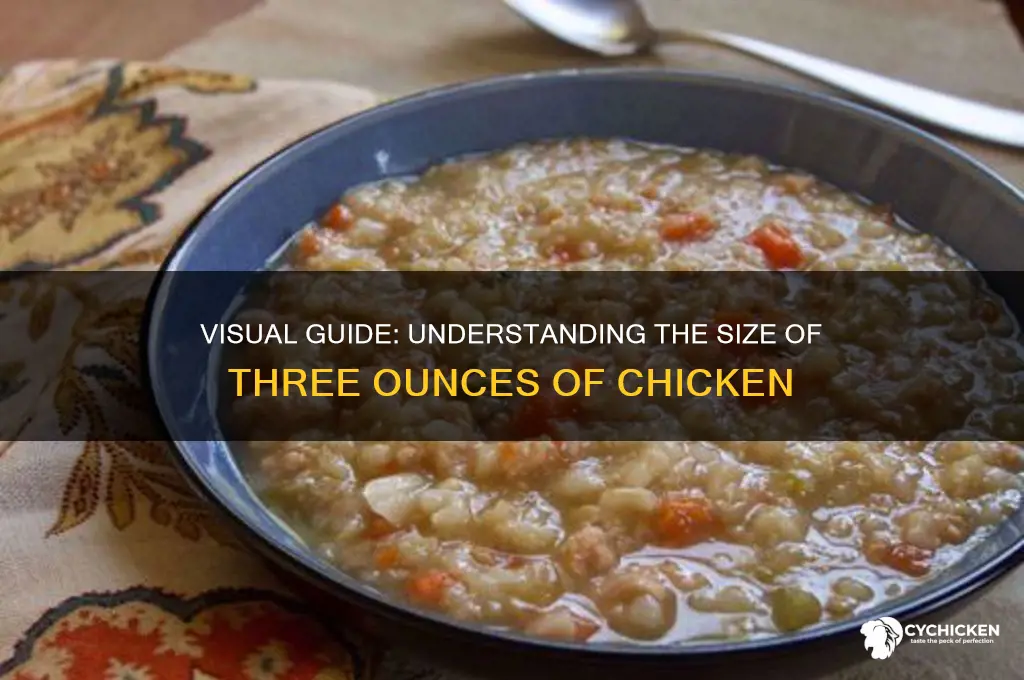 what does three ounces of chicken look like