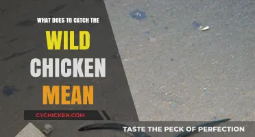 Unraveling the Mystery: What Does 'To Catch the Wild Chicken' Mean?