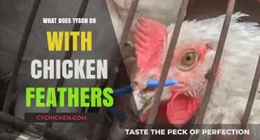 Tyson's Sustainable Solution: Repurposing Chicken Feathers for Eco-Friendly Innovation