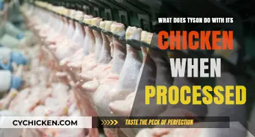 Tyson's Chicken: From Farm to Fork