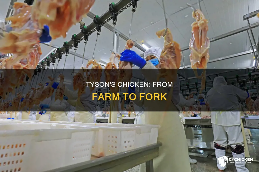 what does tyson do with its chicken when processed