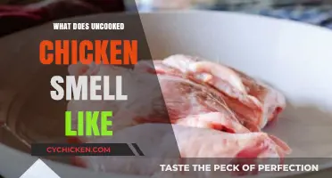Uncooked Chicken Smell: Fresh, Mild, or Off? A Guide
