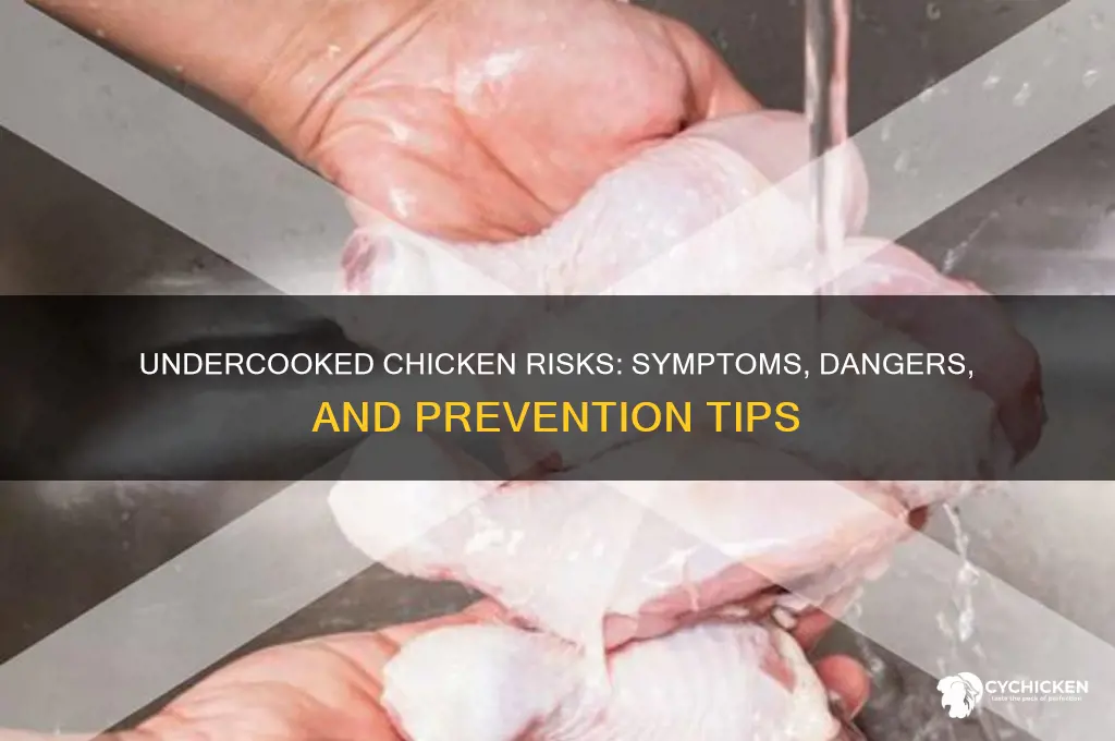 what does undercooked chicken do to you
