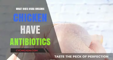 USDA Organic Chicken: Antibiotic-Free Standards Explained