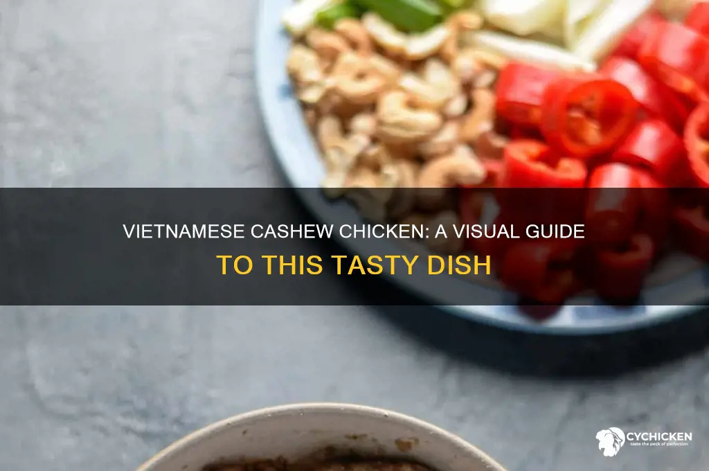 what does vietnamese cashew chicken look like