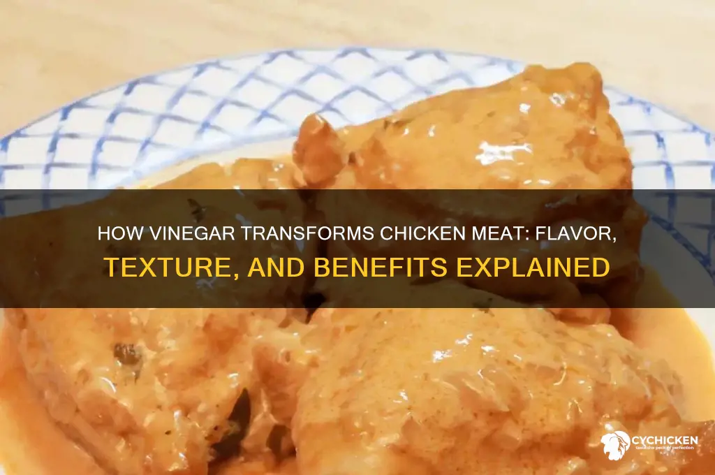 what does vinegar do to chicken meat