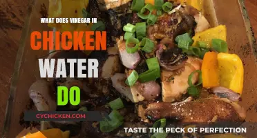Vinegar in Chicken Water: Benefits, Uses, and How It Works