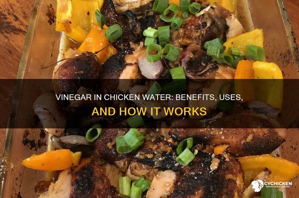 what does vinegar in chicken water do