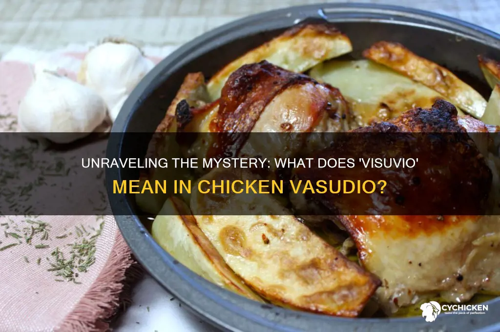 what does visuvio mean in chicken vasudio