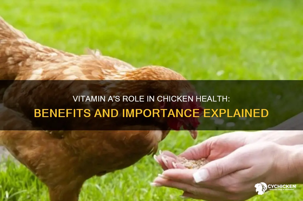 what does vitamin a do for a chicken