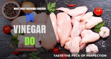 Vinegar Washing Chicken: Benefits, Myths, and Food Safety Explained
