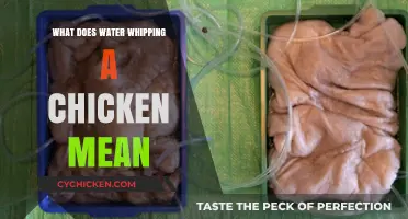 Unraveling the Mystery: What Does Water Whipping a Chicken Mean?