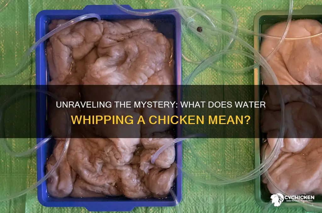 what does water whipping a chicken mean