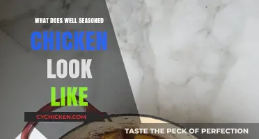 Perfectly Seasoned Chicken: Visual Guide to Flavorful, Juicy Results