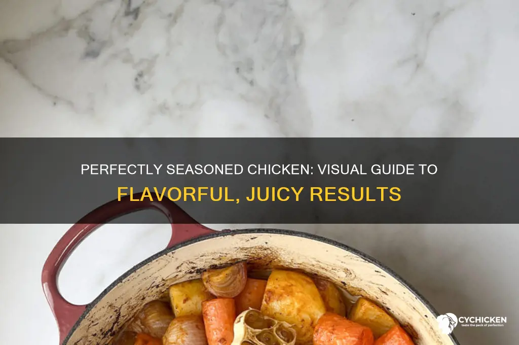 what does well seasoned chicken look like