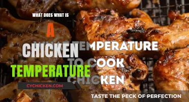 Understanding Chicken Temperature: A Guide to Safe Cooking Practices