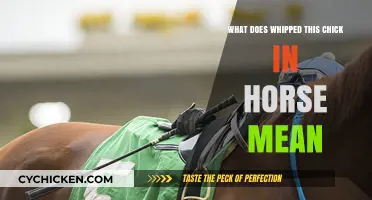 Decoding 'Whipped This Chick in Horse': Meaning and Origins Explained