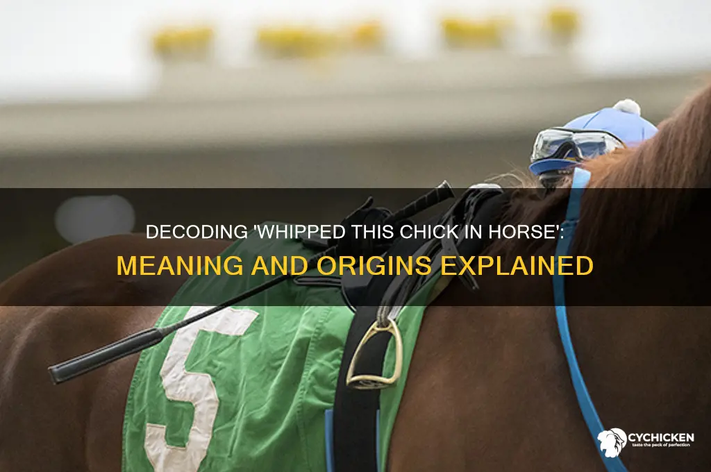 what does whipped this chick in horse mean