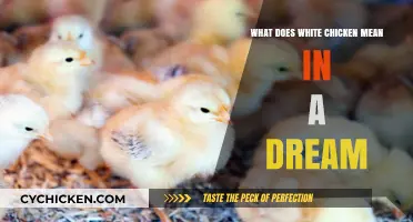 Decoding Dreams: Unveiling the Symbolic Meaning of White Chicken