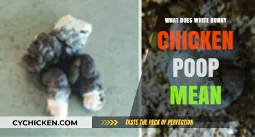 Understanding White Runny Chicken Poop: Causes, Concerns, and Solutions
