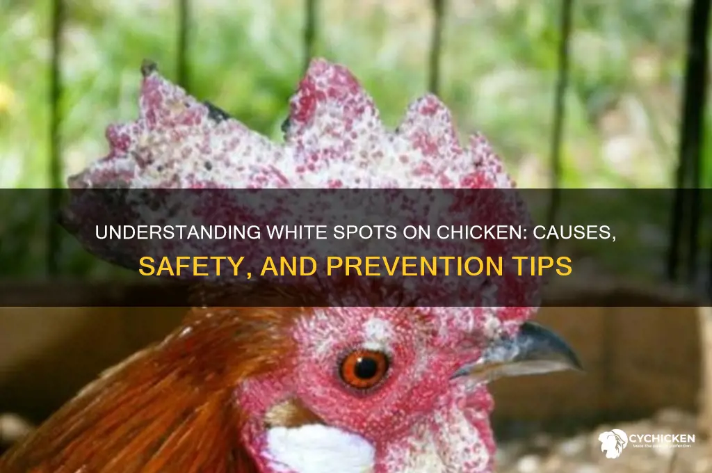 what does white spots on chicken mean