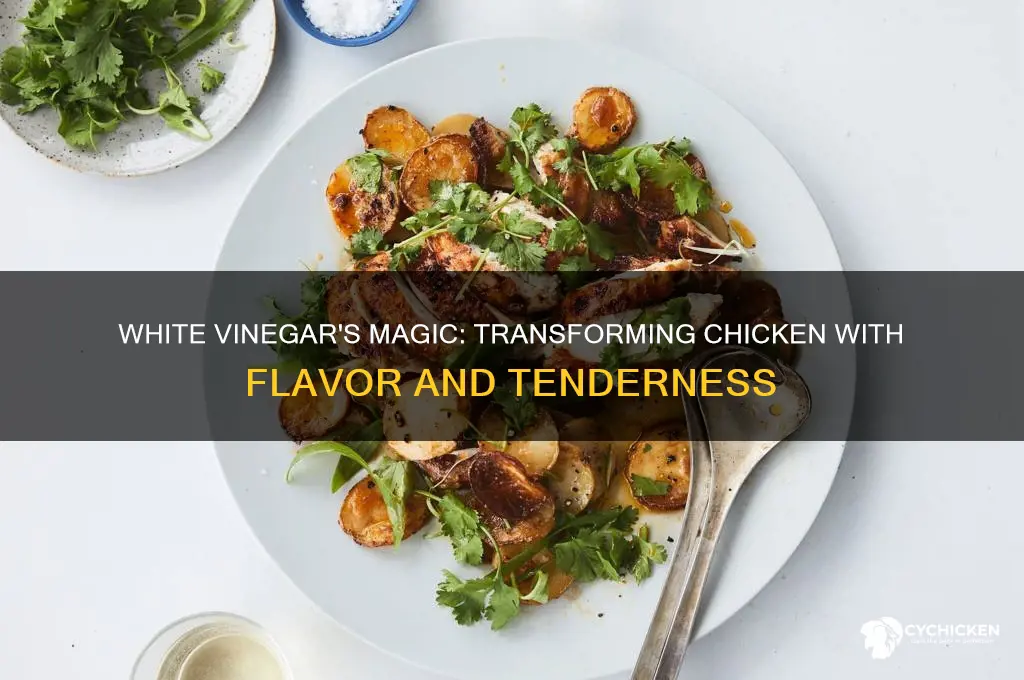 what does white vinegar do to chicken
