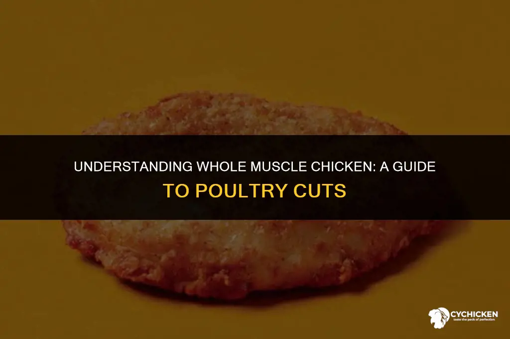 what does whole muscle chicken mean