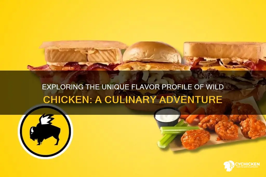 what does wild chicken taste like