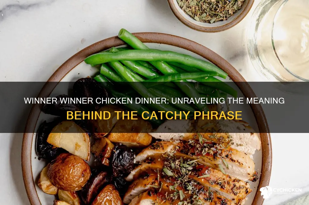what does winner winner chicken dinner mean
