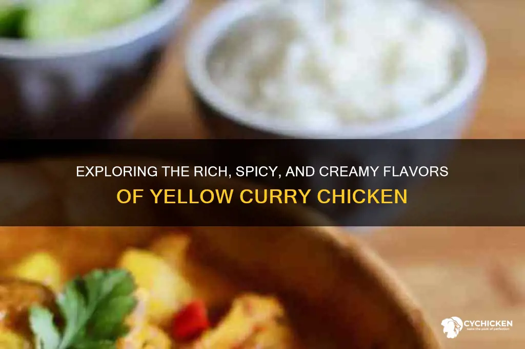 what does yellow curry chicken taste like