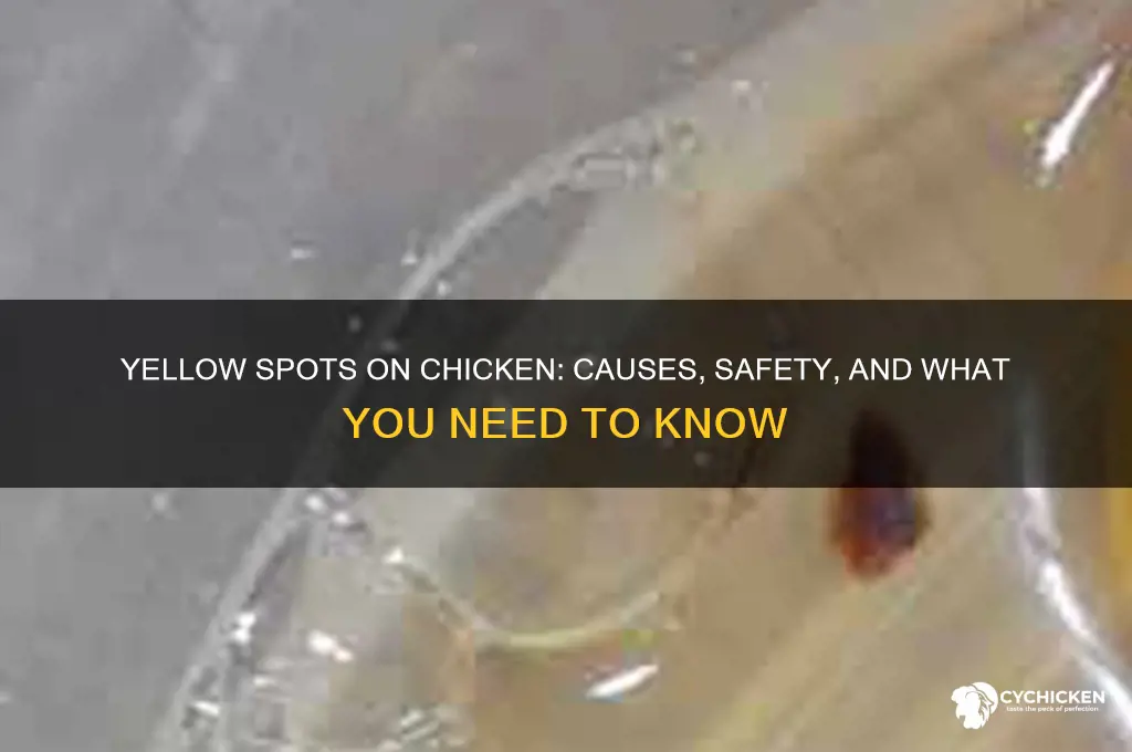 what does yellow spots on chicken mean